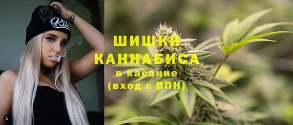 сатива Снежинск