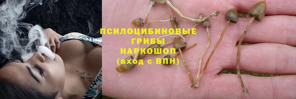 ГАЛЛЮЦИНОГЕННЫЕ ГРИБЫ Абдулино