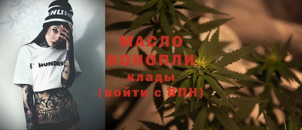 сатива Почеп