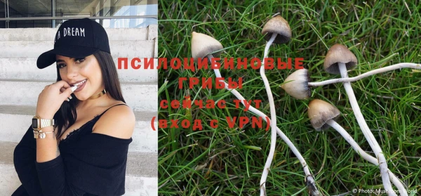 Альфа ПВП Абаза