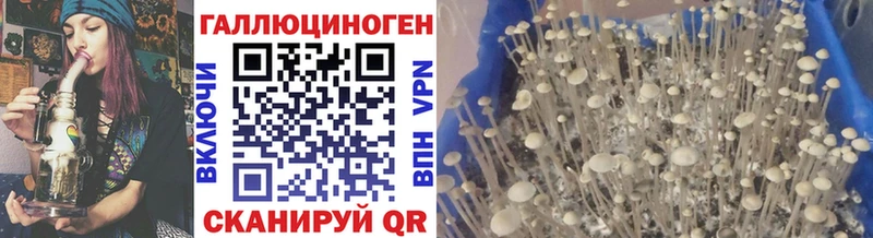 наркота  Уржум  кракен вход  Галлюциногенные грибы MAGIC MUSHROOMS 